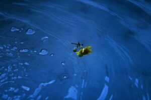 therma numera spa & wellness | терма нумера спа и уелнес Отзиви