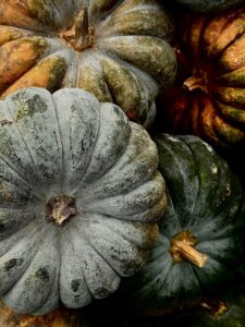 Отзиви за спа хотел девин