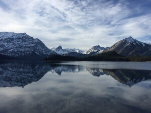 sopharmacy Отзиви