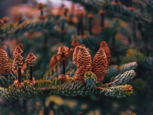 мбал медлайн (medline clinic) Отзиви