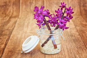 Отзиви за contento