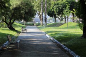 Отзиви за хотел алексион палас