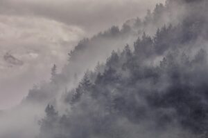 Отзиви за поликлиника българия