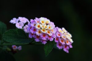 анна найденова (558) Отзиви