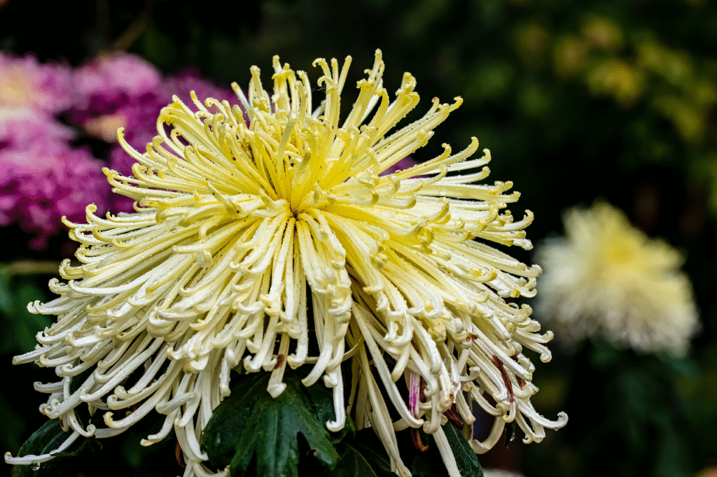 Отзиви за спа хотел извор