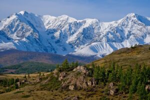 булдентал Отзиви